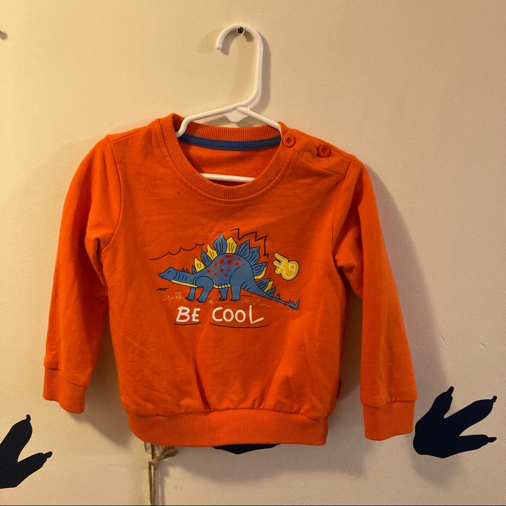 Toddler Boy Orange Dinosaur Graphic Crewneck Size 24 months